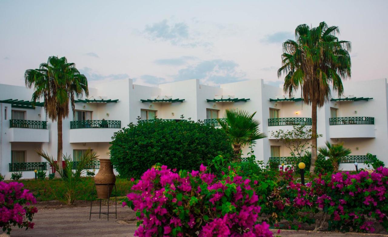 Habitación Individual Clásica con vistas al jardín