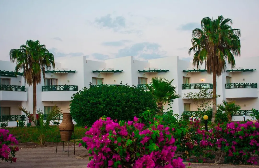 Coral Beach Resort Montazah (Adults Only)-1