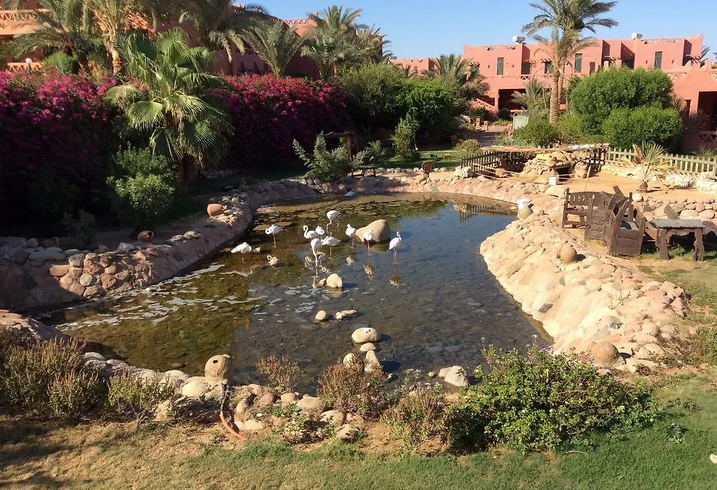 Hauza Beach Resort & Aqua-1