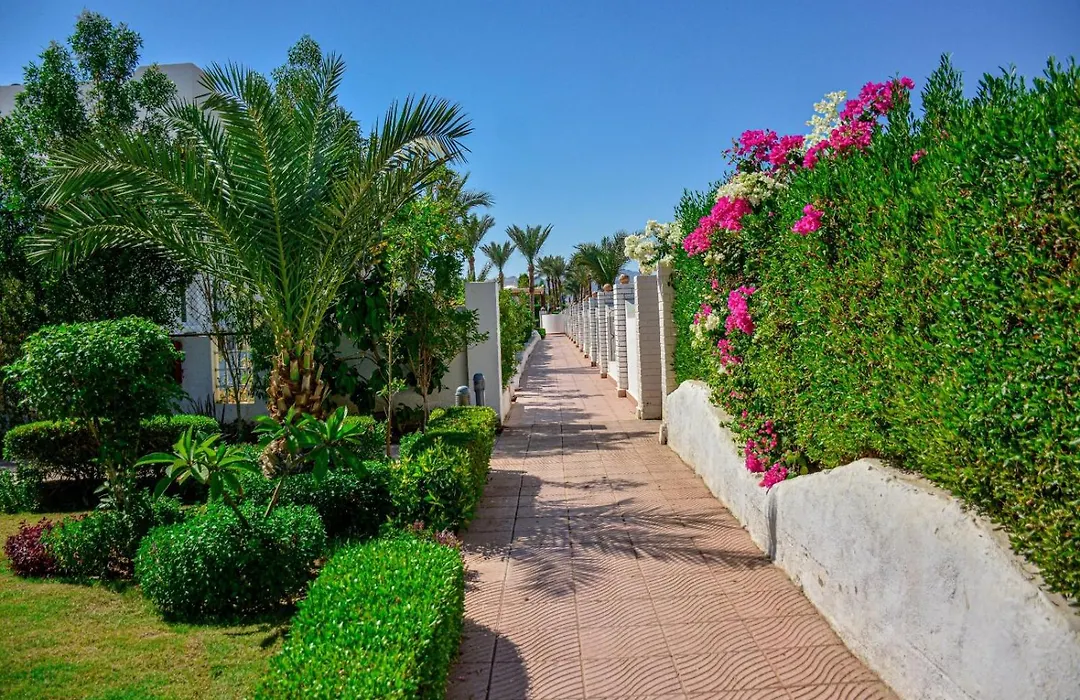 Desert View Sharm Hotel-1